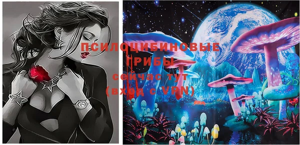 молекула духа Корсаков