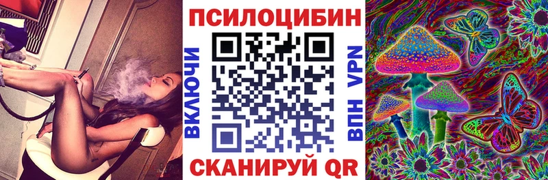 Купить где  Южа  Галлюциногенные грибы GOLDEN TEACHER 
