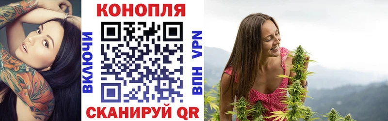 Канабис индика  Купить где  Южа 